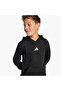 Boys Hooded Sweatshirt With Kangaroo Pocket - Long Sleeves - 13