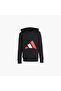 Boys Hooded Sweatshirt With Logo Print - Long Sleeves - 15