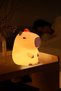 DEKORATİF LED CAPYBARA CB-96