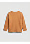 Brown Crew Neck Baby Boy T-Shirt 3-Pack - 3