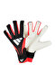 قفاز حارس المرمى PRED GL PRO طراز KA7780
