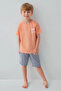 Father & Son Shorts Set, (Sold Separately), 100% Cotton, Crew Neck, Shark Print - 6