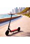 Winner Sky M365 Electric Scooter - 250W Motor, 30 KM/H Max Speed & Shock-Absorbing Inflatable Tires - 4