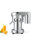 Commercial Automatic Juicer 550W Electric Fruit and Vegetable Juice Extractor, Stainless Steel