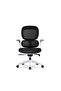 Executive Ergonomic Office Chair with Sliding Seat, Height Adjustable, Tilting, 3-Position Locking