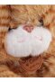 Plush Toy 25 cm Sitting Cat - 4