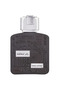 Ramz Silver – parfum bărbătesc 100ml - 2