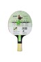 Tiago Apolonia Tax3 Table Tennis Racket Ittf Approved - with Racket Cover - 3