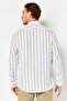 Men Regular Fit Stripe Long Sleeve Dress Shirt, White - 4