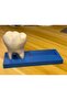Dentist Business Card Holder Decorative Desktop Business Card Stand with Tooth Figure Office Accessory - 2