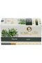 Thyme Tea - Natural Herbal Tea for Boosting Immunity and Body Vitality | 40 Bags | Pack of 2 - 3