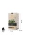 Thyme Tea - Natural Herbal Tea for Boosting Immunity and Body Vitality | 40 Bags | Pack of 2 - 5