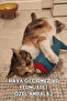 Legendary Edible Cat Toys Set (Dino + Fish) - 3