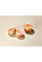 Salmon Concealer (2) + Salmon Brightening Eye Cream - 8