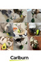 Special Production Rotating Mechanism Avocado Shaped Cat Toy with Mint Food Bowl - 4