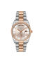 Uspa2054-06 Women's Wristwatch