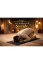 Washable Disposable Prayer Mat - Strip Model Patternless Fabric Full Size 40X120 cm 5-Piece Roll Pocket
