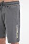 Ml Aloıs 20Trv35 5Fx Gray Men's Shorts - 4