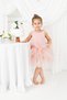Powder Pink Girl's Puffy Ballerina Dress with Floral Details - April 23 Show Dress - 2