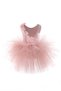 Powder Pink Girl's Puffy Ballerina Dress with Floral Details - April 23 Show Dress - 4