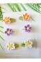 Handmade Set of 6 Organic Snap Clips Pinterest Models Hair Accessories Suitable for All Age Groups - 5