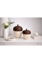 Acorn Design Decorative Storage Box with Lid