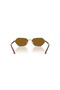 0Vo4349S 513883 - Light Brown Women's Sunglasses - 3