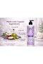 Natural Body Wash Made with Olive & Coconut Oils – Plant-Based, Moisturizing, Gentle Daily Cleanse - 2