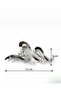 Pearl Detailed Wave Shaped Silver Color Bun Hair Clip - 7
