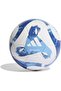 Bordeaux League Training Ball