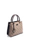 Dark Beige - Brown Monogram Women's Handbag Sp1272 - 2