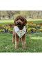 Cat - Dog Winter Denim Jacket with Fleece Inside and Sequins Outside - Coat - Raincoat - Vest - Clothing - 2