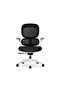 Modern Ergonomic Executive Office Chair Without Headrest, White Frame, Adjustable Height, for Office
