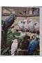 Tapestry Embroidery Kit - 2