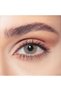 One Day Earth Pack Of 10, Daily Disposable Contact Lenses, Color Contact Lenses, Gray Contact Lenses