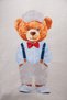 Rocha Baby Boy Teddy Bear Printed 2-Piece Set - Teddy Bear Sweatshirt and Pants Set with Straps - 9