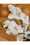 White Artificial Orchid In Ceramic Planter - 2