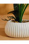 White Artificial Orchid In Ceramic Planter - 4