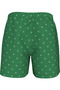 Men's Mid Waist Belt I Drawstring Adjustable Green Swim Shorts - 3
