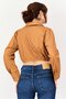 x Kenza Women Curve Spread Collar Solid Shirt, Mocha - 3