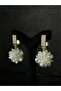 Zircon Stone Appearance Elegant Women's Earrings - 4