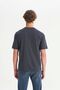 W7535920355 Anthracite Men's Crew Neck Relaxed Fit Graphic Logo T-Shirt - 2