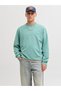 Sweatshirt Sweatshirt