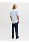 Hemd Regular Fit Hemd - 3