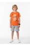 Round Neck Summer the More Print Detailed Capri Boys' Top and Bottom Set - 2