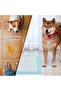 60 Cm X 90Cm 20 pcs Pet Training Pads And Puppy Pads Super Absorbent. - 2