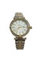 Dg-8842La-D1 Women's Wristwatch 250058326D20G - 2