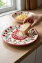 Ceramic Grater Multi-Purpose Practical Garlic & Ginger Grater Decorative Presentation Plate Baby Grater - 4