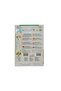 Vegetable Melon Charentais Seeds FVS 91/5 - 4