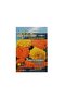 Giant Marigold Mixed Seeds - 3